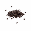 ChatGPT-Image-Feb-24-2026-10_10_13-AM.png Salvia Divinorum Seeds