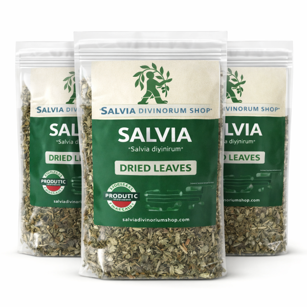 ChatGPT-Image-Jan-11-2026-09_19_23-AM.png salvia divinorum dried leaves
