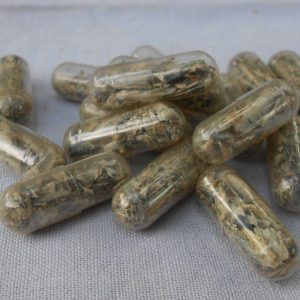 DSCN0251_2_1200x1200.jpg Mushroom Capsules