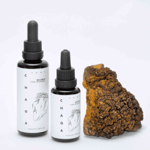 chaga1_1080x.png Chaga mushroom tincture – Inonotus obliquus extract